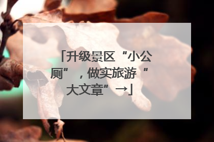 升级景区“小公厕”，做实旅游“大文章”→